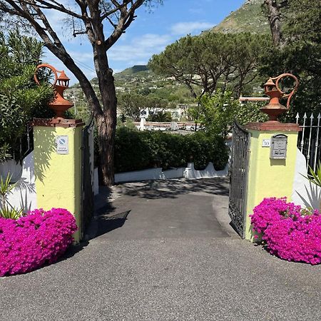 Hotel Park Calitto Forio  Bagian luar foto