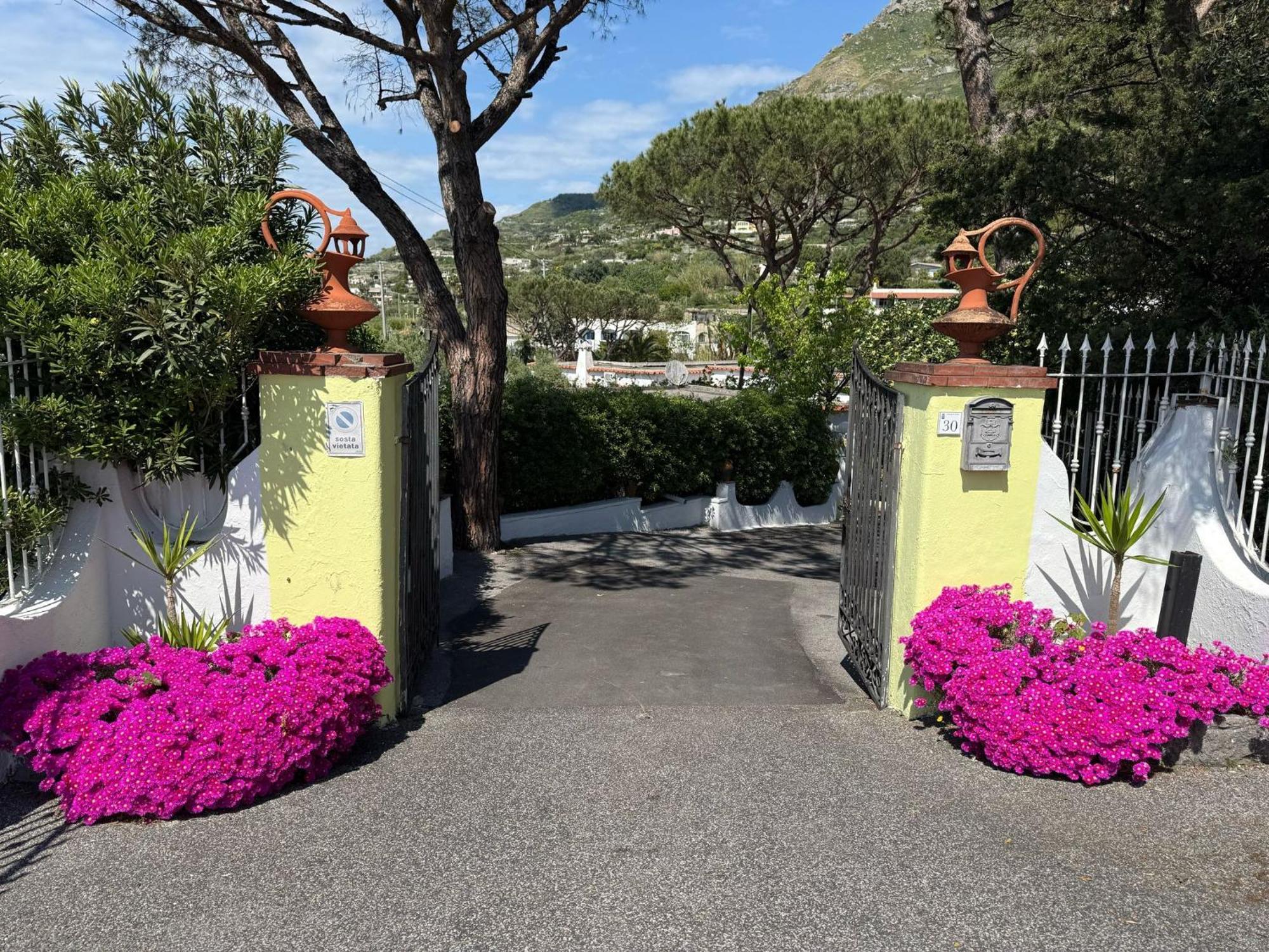 Hotel Park Calitto Forio  Bagian luar foto